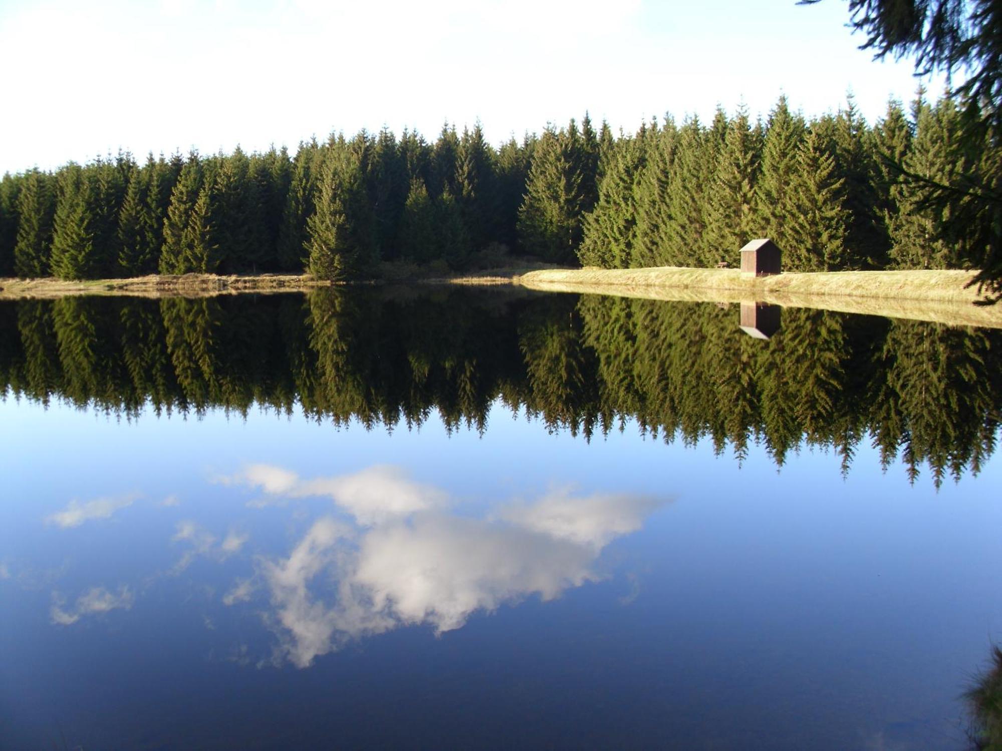 Naturkost-Hotel Harz バート・グランド エクステリア 写真