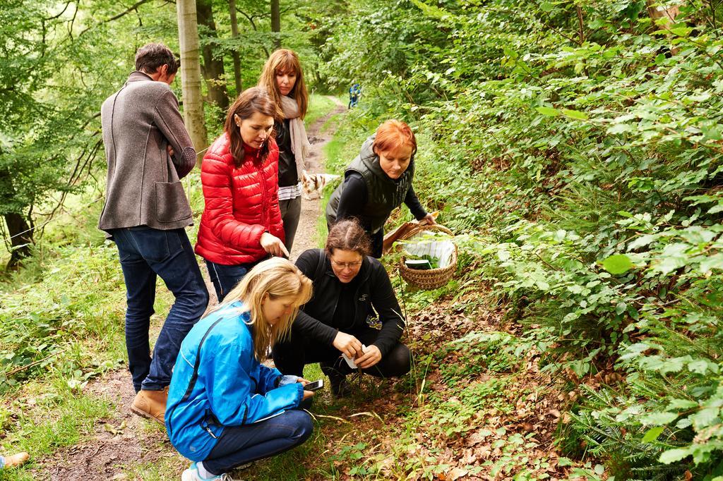 Naturkost-Hotel Harz バート・グランド エクステリア 写真